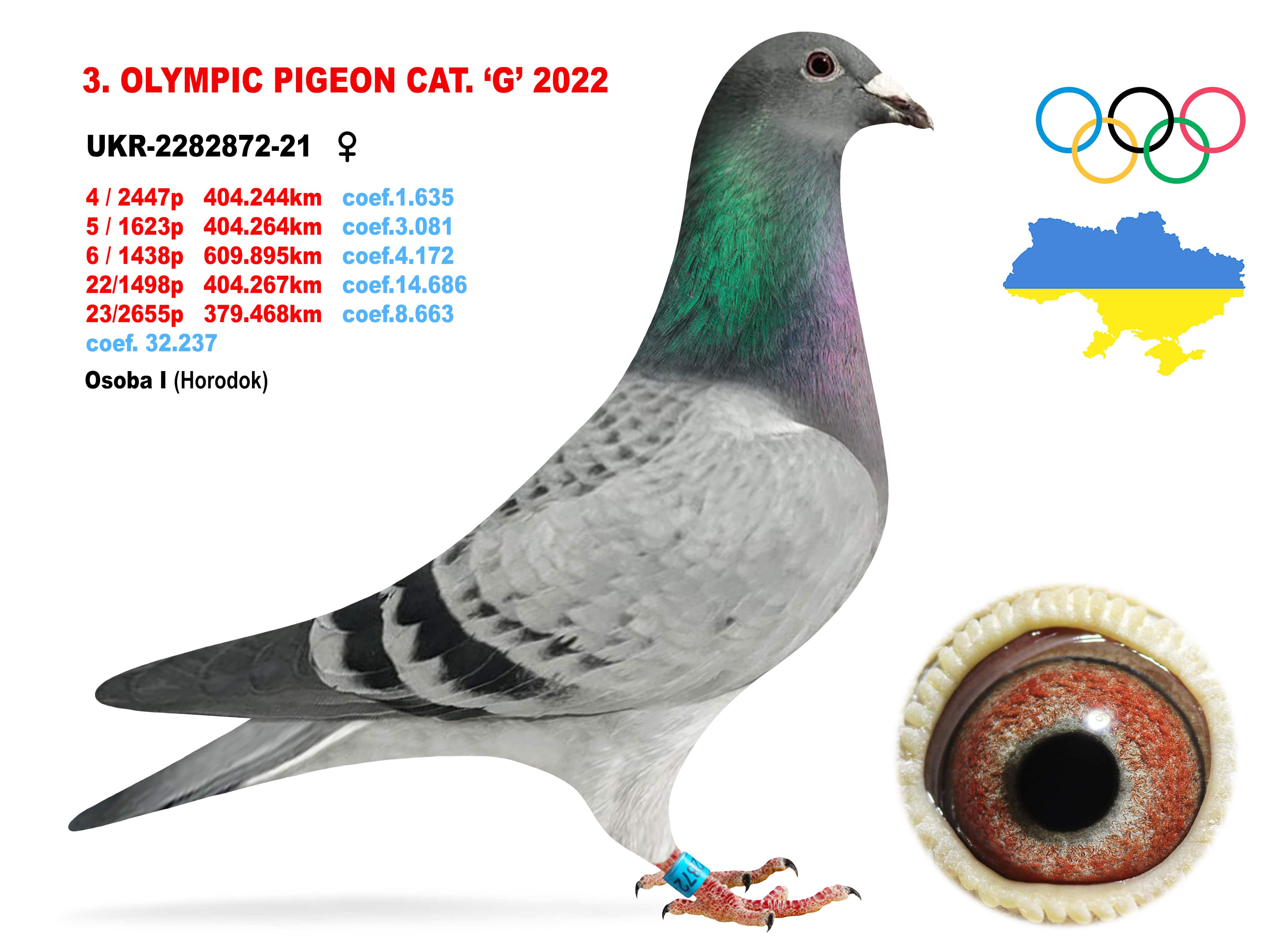 2022-G3
